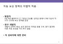글로벌화의요인및이슈,글로벌화전략,글로벌화HRM전략,HRM전략 29페이지