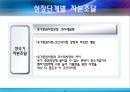 기업의 수명주기와 그에 따른 자본조달전략의 장단점,기업수명주기,자본조달전략,기업사례분석 25페이지