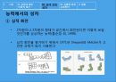남녀차이에따른교육방안,남녀차이,성차별,생물학적차이 23페이지