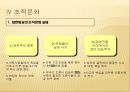 대한항공마케팅,대한항공기업분석,대한항공경영전략,마케팅,브랜드,브랜드마케팅,기업,서비스마케팅,글로벌,경영,시장,사례,swot,stp,4p 15페이지