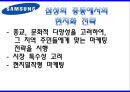 다국적기업,삼성,LG,중국삼성,미주삼성,중동삼성,인도삼성,삼성마케팅,LG마케팅,삼성LG마케팅 19페이지
