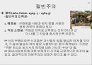도덕위기의 현주소와 원인,고스톱증후군,윤리 도덕과 사회의관계,천민자본주의,자본주의특징 16페이지