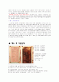 드마리스 (D'Maris) 6페이지