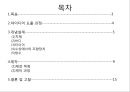 발표자료 수륙양용자동차 2페이지