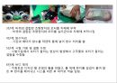 발표자료 수륙양용자동차 14페이지