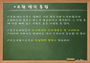 맥도날드ppt 29페이지