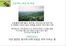 롯데 DMZ2km -Renaming Project- 롯데디엠지,생수시장,생수사업,마케팅,브랜드,브랜드마케팅,기업,서비스마케팅,글로벌,경영,시장,사례,swot,stp,4p.PPT자료 5페이지