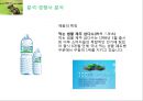 롯데 DMZ2km -Renaming Project- 롯데디엠지,생수시장,생수사업,마케팅,브랜드,브랜드마케팅,기업,서비스마케팅,글로벌,경영,시장,사례,swot,stp,4p.PPT자료 12페이지
