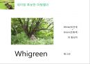롯데 DMZ2km -Renaming Project- 롯데디엠지,생수시장,생수사업,마케팅,브랜드,브랜드마케팅,기업,서비스마케팅,글로벌,경영,시장,사례,swot,stp,4p.PPT자료 36페이지