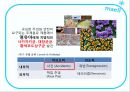 매일유업 위기관리 - 위기관리사례,매일유업,매일우유,위기관리.PPT자료 8페이지