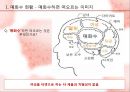 스윗(sweet)타임?이젠 펀(FUN)한 타임! - 매화수, 매화수마케팅, 분석, 마케팅전략, 저도수시장, 소주시장, 매실주, 매실주시장, 프로모션전략, 프로모션전략사례 PPT자료 6페이지