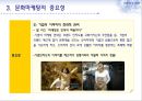 문화마케팅,문화마케팅사례,문화마케팅효과및중요성,부동산문화마케팅,부동산문화마케팅사례 10페이지