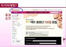 미샤 마케팅전략 및 성공전략(SWOT,4P,STP) 13페이지