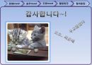 문화트렌드,음주트렌드,주류트렌드,음주문화,주류문화,트렌드분석 34페이지