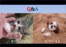 문화트렌드,음주트렌드,주류트렌드,음주문화,주류문화,트렌드분석 35페이지