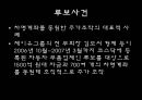 불법주식투자사례조사,주가조작,조가조작사례,불법주식현황,불법주식거래,BBK사건,루보사건,H&T사건,베렝거사건 18페이지