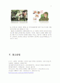 이니스프리 innisfree 브랜드분석과 이니스프리 매출증상승위한 전략제안보고서 13페이지