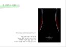 사이코그래픽스,광고분석,광고전략,광고비교분석,라이프스타일,라이프스타일광고,개성광고,개성광고분석 9페이지
