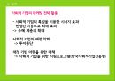 사회적 기업 마케팅,블루오션전략,감성마케팅전략,. 공동브랜드전략.PPT자료 40페이지