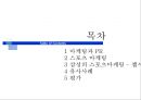 삼성&첼시후원마케팅,스포츠마케팅사례,마케팅,브랜드,브랜드마케팅,기업,서비스마케팅,글로벌,경영,시장,사례,swot,stp,4p 2페이지