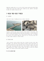 새만금,새만금종합개발,새만금사업,수질오염,새만금종합개발사업,새만금사업파급효과,새만금역효과,간척종합개발사업,새만금간척종합개발사업 23페이지