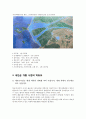 새만금,새만금종합개발,새만금사업,수질오염,새만금종합개발사업,새만금사업파급효과,새만금역효과,간척종합개발사업,새만금간척종합개발사업 25페이지