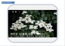 샴푸시장,마케팅전략사례,마케팅,브랜드,브랜드마케팅,기업,서비스마케팅,글로벌,경영,시장,사례,swot,stp,4p 57페이지