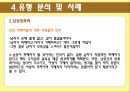 성폭력,성폭력개념,성폭력실태,성폭력유형,성폭력유형분석,성폭력사례,다른나라사례,성폭력해외사례 14페이지