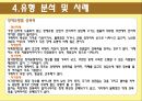 성폭력,성폭력개념,성폭력실태,성폭력유형,성폭력유형분석,성폭력사례,다른나라사례,성폭력해외사례 18페이지