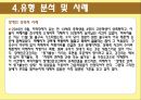 성폭력,성폭력개념,성폭력실태,성폭력유형,성폭력유형분석,성폭력사례,다른나라사례,성폭력해외사례 20페이지