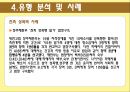 성폭력,성폭력개념,성폭력실태,성폭력유형,성폭력유형분석,성폭력사례,다른나라사례,성폭력해외사례 22페이지