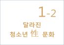 성의개념,성문화,청소년성문화,청소년성매매,청소년성범죄,미혼모,성교육,성교육의현재,올바른성,잘못된성문화 6페이지