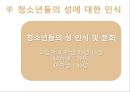 성의개념,성문화,청소년성문화,청소년성매매,청소년성범죄,미혼모,성교육,성교육의현재,올바른성,잘못된성문화 9페이지