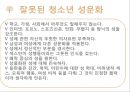 성의개념,성문화,청소년성문화,청소년성매매,청소년성범죄,미혼모,성교육,성교육의현재,올바른성,잘못된성문화 23페이지