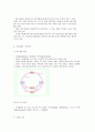 경제학의 성격과 경제학 연구의 방법 4페이지