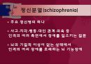 정신분열  3페이지