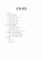 청소년 복지 정책과 행정  2페이지