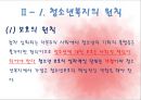 청소년복지의 원칙 9페이지