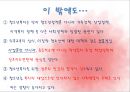 청소년복지의 원칙 13페이지