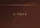학습자의 개인차 - 지능  6페이지