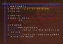 학습자의 개인차 - 지능  11페이지