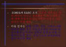 학습자의 개인차 - 지능  29페이지