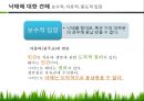 혼전순결과 임신중절의 문제  16페이지
