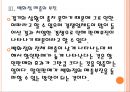 [체리피커] 실속형소비자 증가에 따른 변화.PPT자료 13페이지