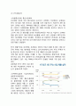 KT의 LTE시장에서의 경영혁신전략및 마케팅전략분석과 향후과제분석 5페이지