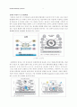 소셜네트워크 SNS[social network service]에 대해서 3페이지