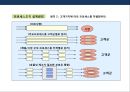 조직의 특성 및 설계의 이해 & 새로운 조직모델의 통합모형 28페이지