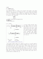 Central Dogma (중심원리) 3페이지