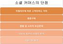 소셜커머스의 현황과 전망,소셜커머스장점,소셜커머스문제점및보완대책.PPT자료 25페이지