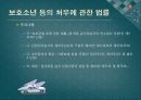 소년법외의 소년관련법제 - 보호소년,청소년보호법,청소년복지지원법,청소년성보호에관한법률,소년관련법제.PPT자료 4페이지